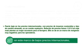 Mercado local: Avanza la siembra