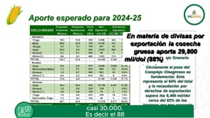 Informe Especial: Cosecha gruesa