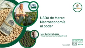 Mercado internacional: Al ritmo de la macroeconomía 