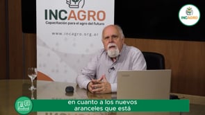 Mercado internacional: Aranceles y wheather market 