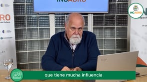 Mercado local: El regreso de los DEX