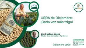 USDA Diciembre 2025: ¡Cada vez más trigo!