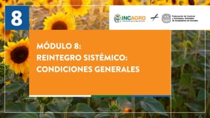 Módulo 8: Reintegro sistémico: condiciones generales
