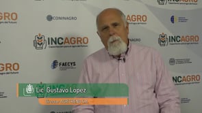 Mercados VIII: Cómo se forman los precios (parte II)