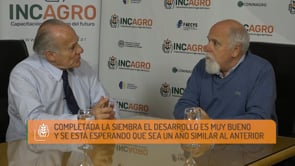 Mesa sobre Mercados y contexto internacional