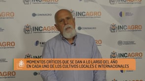 Variables de la oferta y demanda II