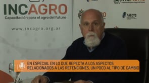 Comportamiento de cereales y oleaginosas en la campaña 2019/2020