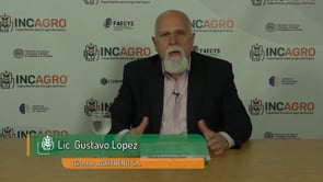 Informe del USDA-Febrero 2020 