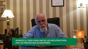 Mercados: Primera estimación Ciclo 2020/2021  