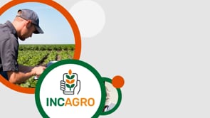 USDA Abril 2022: Precios en alza y bajo stock