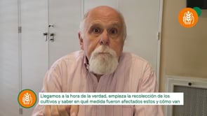 Mercado Granario Local - Ciclo 22/23: Soja o maíz?