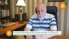 USDA Noviembre 2022: El foco en maíz y soja