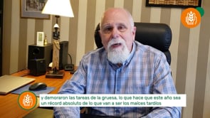 Mercado Granario Local 22/23: Márgenes críticos para la industria 