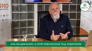 USDA Junio 2023: Aumento en los stocks debilita los precios