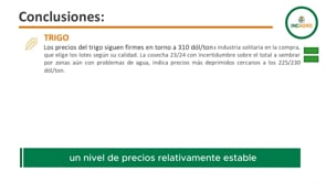 Mercado Granario Local:  Se recupera la producción de trigo y soja