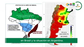 USDA Diciembre 2023: Mercado climático y récord de compras chinas