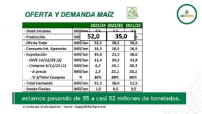 Mercado Granario Local: Precios atractivos para maíz y soja