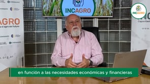 Especial Trigo: Producción estimada: Mayor al ciclo previo, pero menor a la esperada