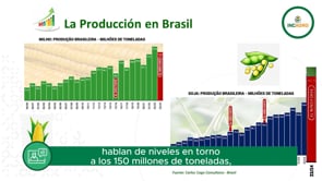 USDA Febrero 2024: Se confirma tendencia bajista en Chicago