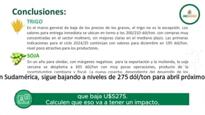Mercado Granario Local: Incertidumbre cambiaria y fiscal presiona el mercado local