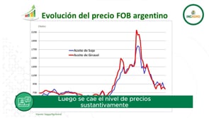 Especial Girasol: Precios en caída