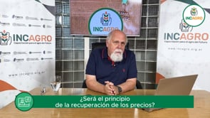 Mercado local: Derrumbe en el trigo e incertidumbre para soja y maíz