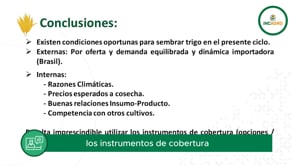 Especial A Todo Trigo 2024: Reverdecen las perspectivas para el cereal